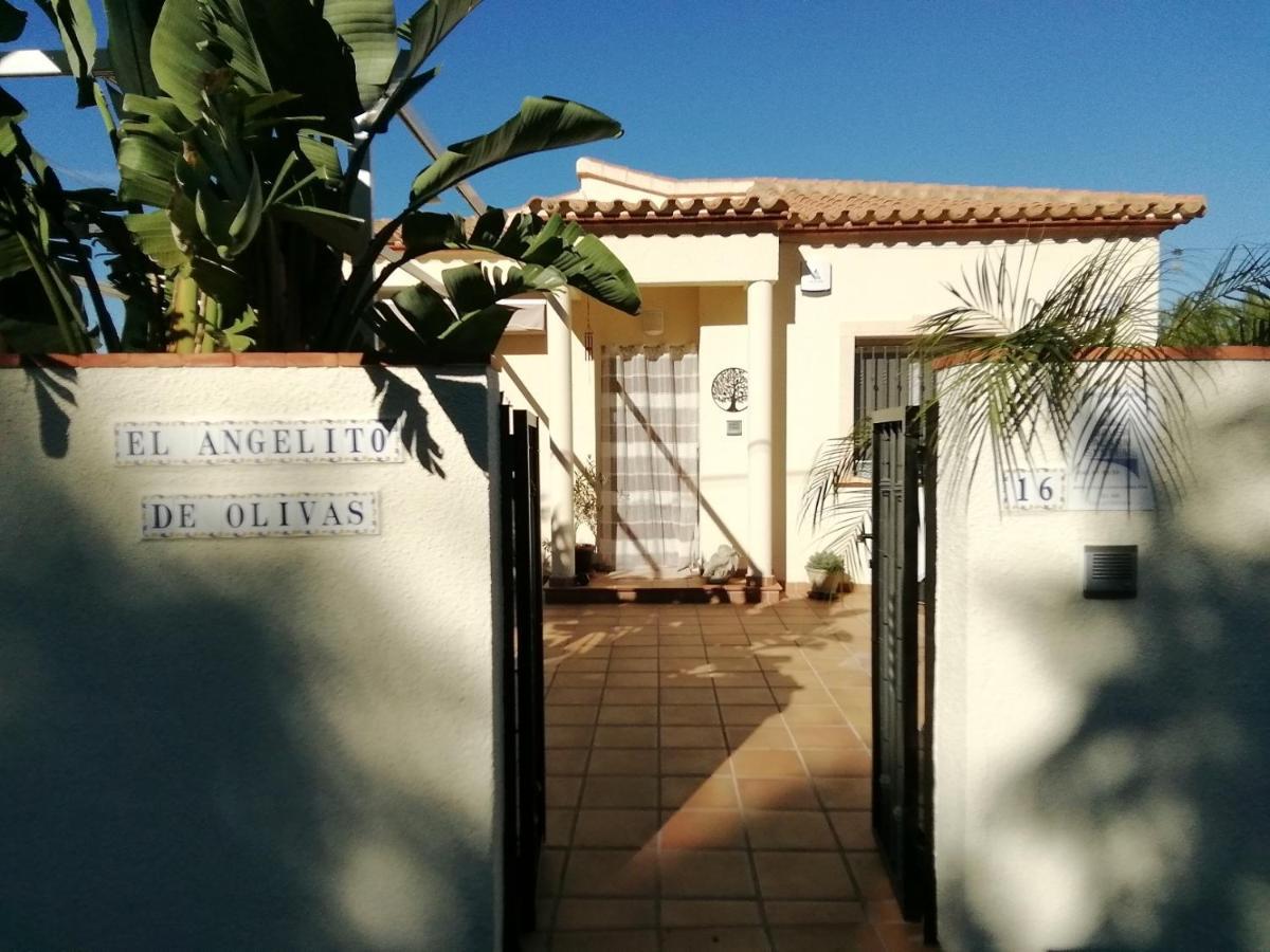 Guest House El Angelito De Olivas Pedreguer Kültér fotó